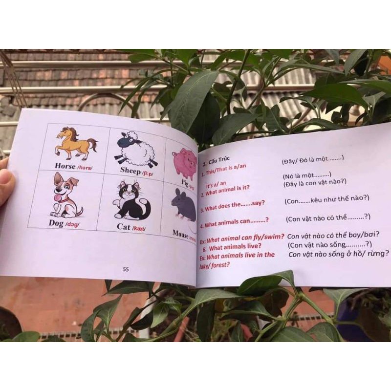 TÀI LIỆU ĐỒNG HÀNH