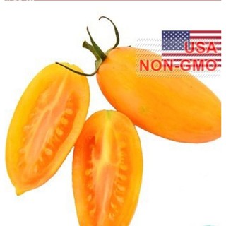 Hạt Giống Cà Chua - Đỏ Mặt - Gói 5 hạt