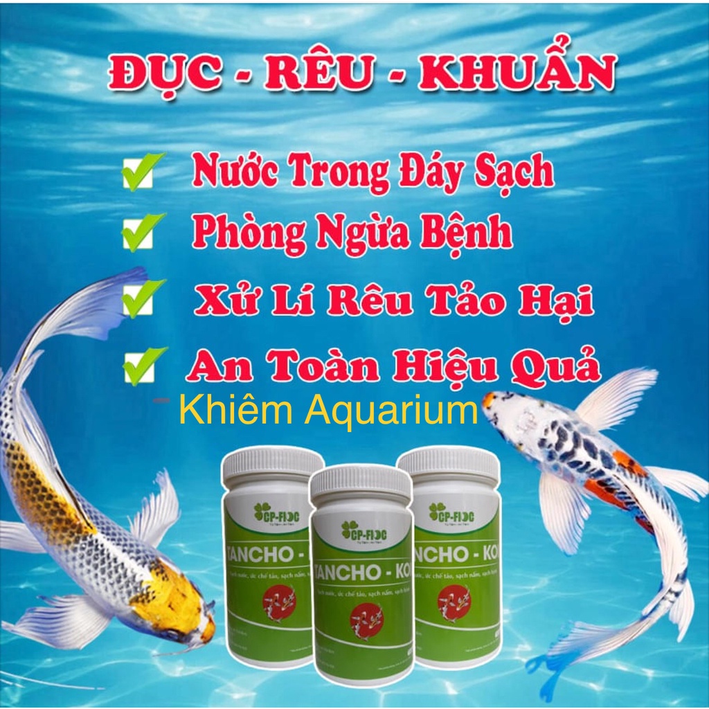 Xử lý nước hồ cá TANCHO - KOI giúp trong nước khử mùi, rêu tảo