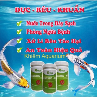 Xử lý nước hồ cá tancho - koi giúp trong nước khử mùi, rêu tảo