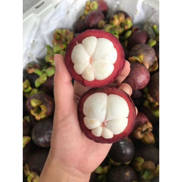 HCM Free Ship - Măng Cụt Thái Lan Chính Gốc 1kg