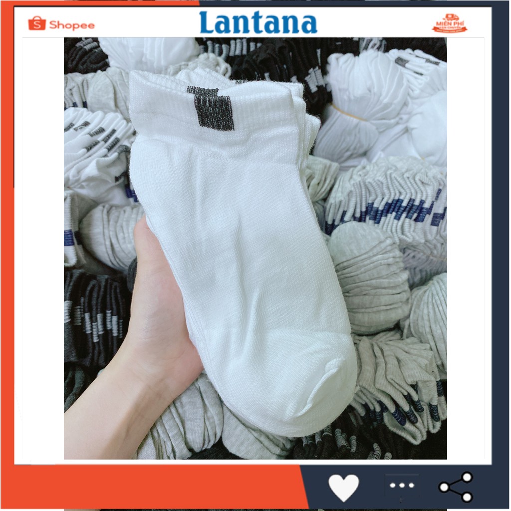 [GIÁ SỈ RẺ NHẤT THỊ TRƯỜNG ] Tất Vớ Nam Nữ Cổ Ngắn 100% Cotton , Giúp Êm Chân, Chống Hôi Thoáng Mát Cả Ngày