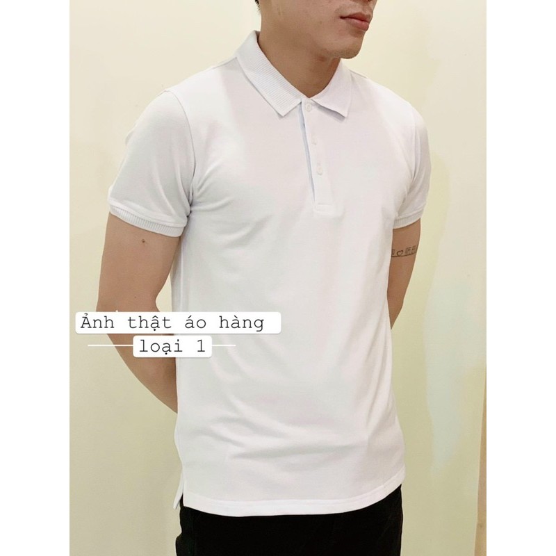 ÁO PHÔNG CHỮ POLO GAVIL | BigBuy360 - bigbuy360.vn