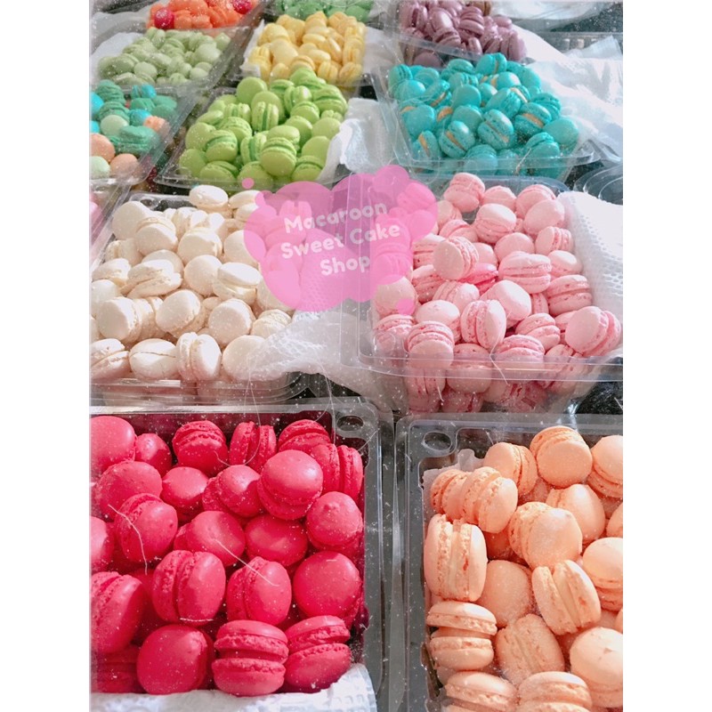 Macaron ( 20v mini size )