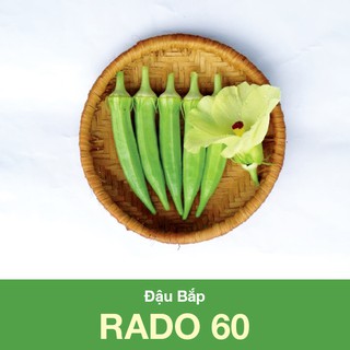 Hạt giống đậu bắp xanh Rado 60