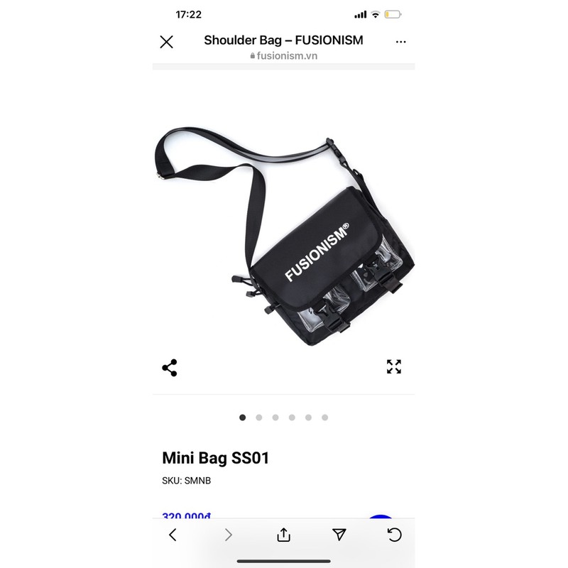 Mini Bag fusionism