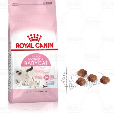 Thức ăn mèo Royal canin baby cat, Indoor, Fit, Kitten, Hairball,Hair & Skin gói 2kg (Chính Hãng)