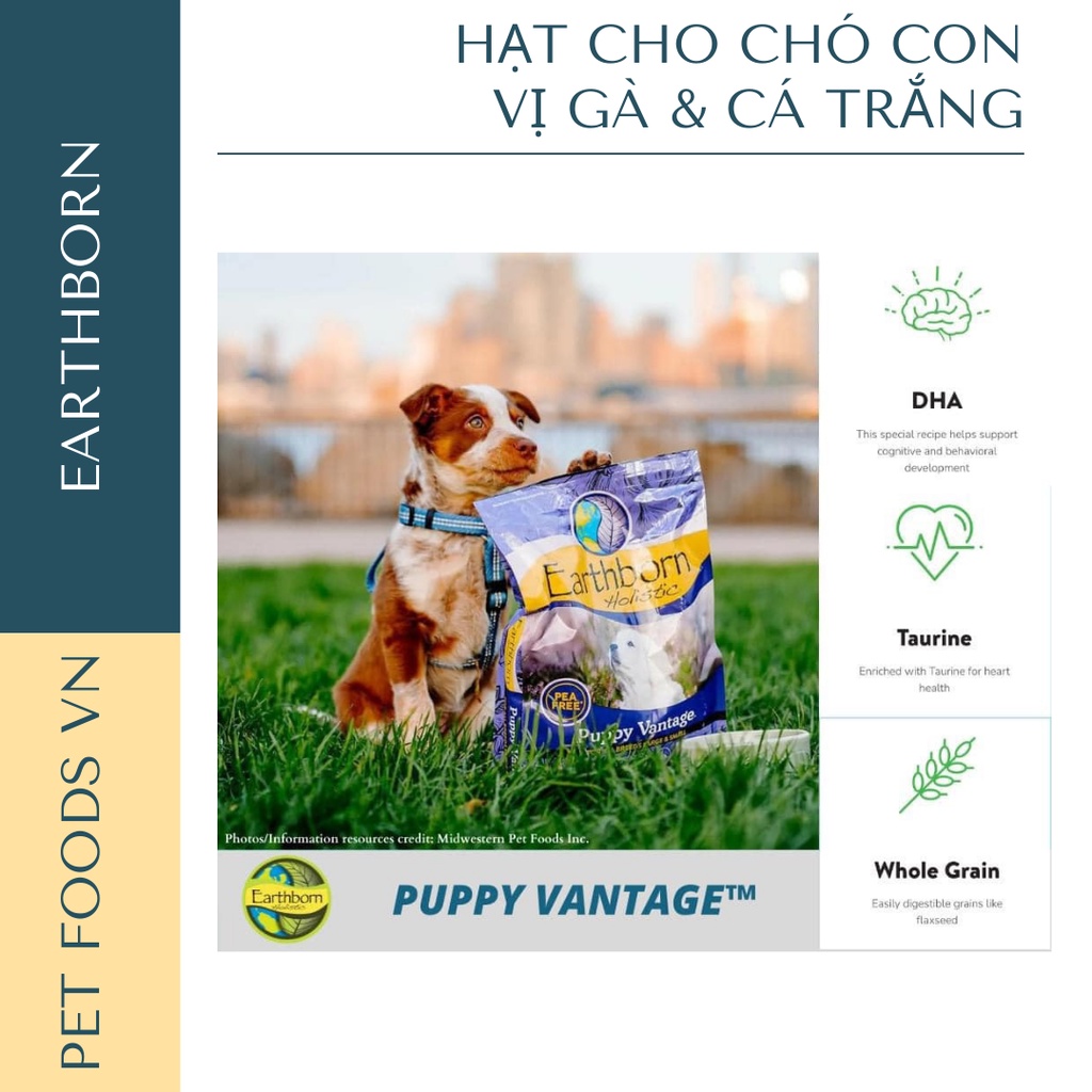 Hạt cho chó con EARTHBORN Puppy Vantage 2,5kg vị Cá Trắng &amp; Gà