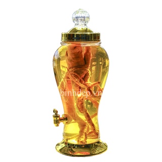 Bình ngâm rượu thủy tinh cao cấp 5 lít có vòi Phú Hòa Việt Nam