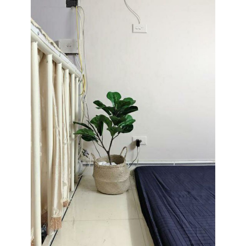 Giỏ cói trơn trồng cây/decor/đựng quần áo/đựng vật dụng nhỏ, Hàng XK Châu Âu