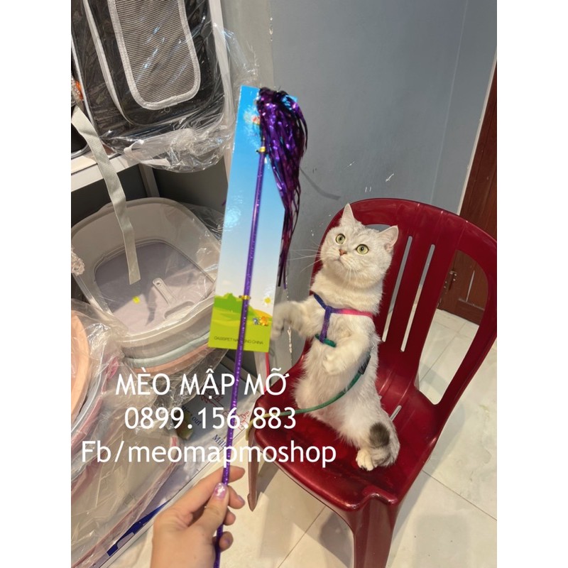 CẦN CÂU ĐỒ CHƠI CHO MÈO