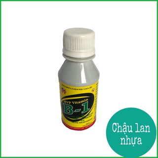 Chế Phẩm Vitamin B1 Cho Lan Bổ Sung Vi Lượng Dạng Đậm Đặc Chai 100 ml