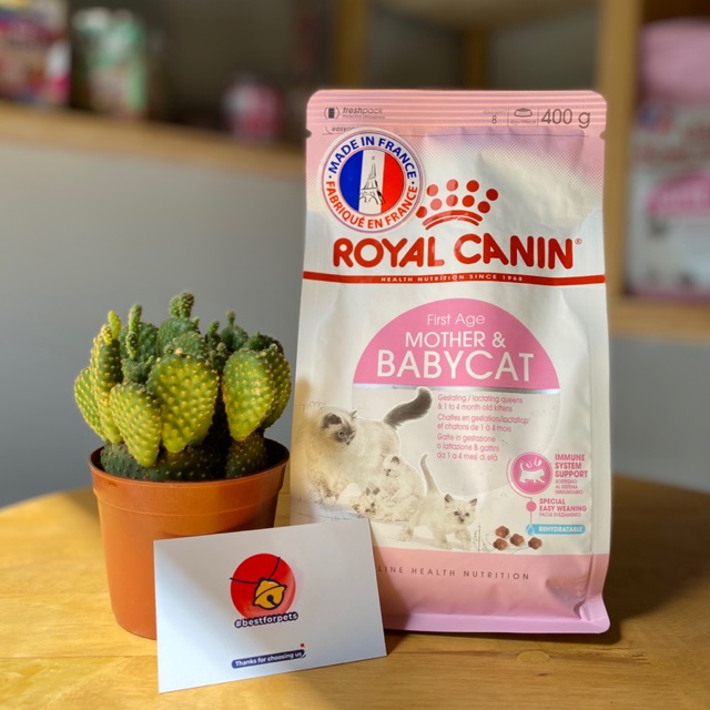 Thức ăn hạt cho mèo Royal Canin Mother & Babycat - Túi 400gr chính hãng