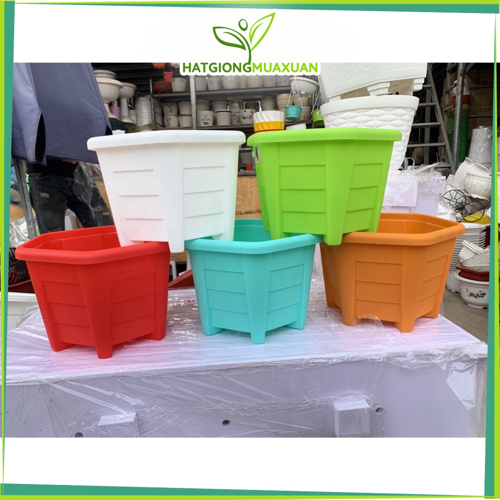 Chậu nhựa QP26 (24x18cm) các màu siêu xinh