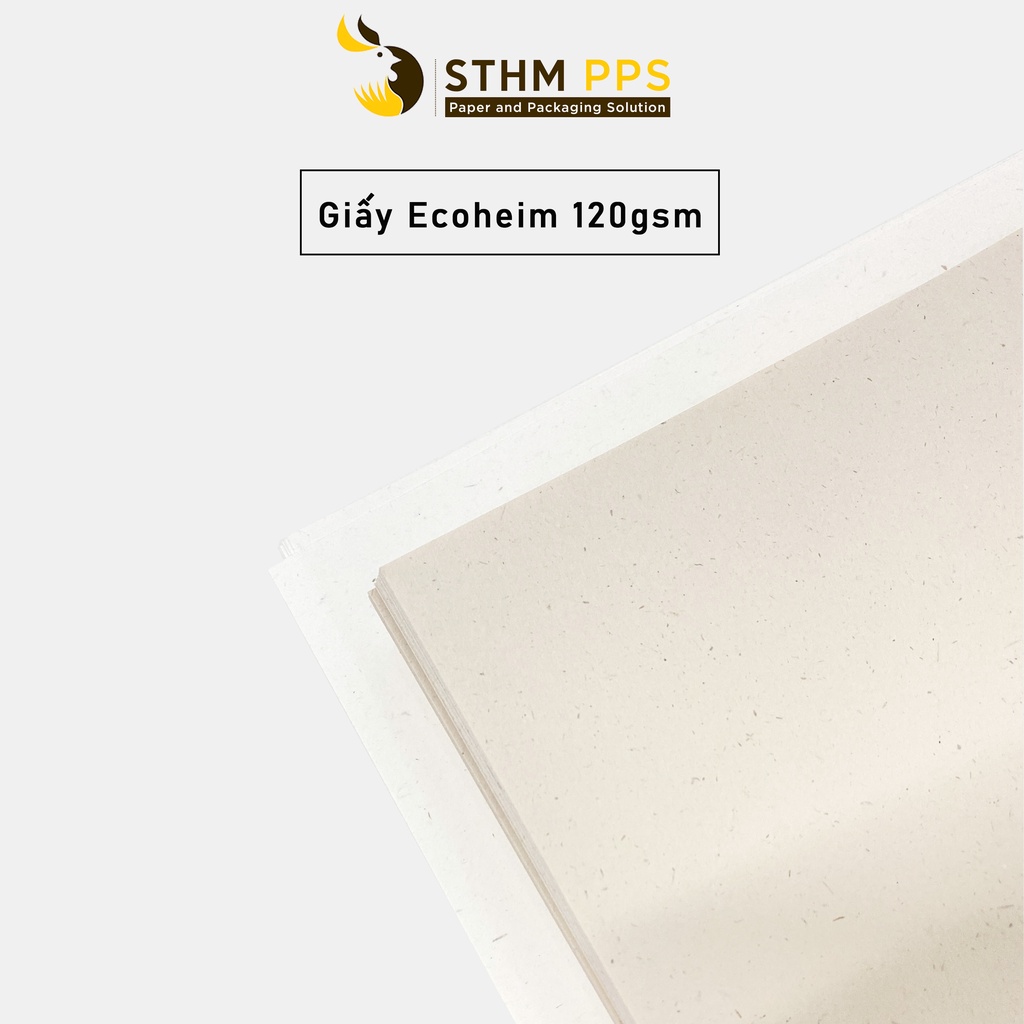 Giấy Ecoheim - 120gsm - Xấp 10 tờ - Giấy mỹ thuật Hàn Quốc cao cấp - STHM PPS