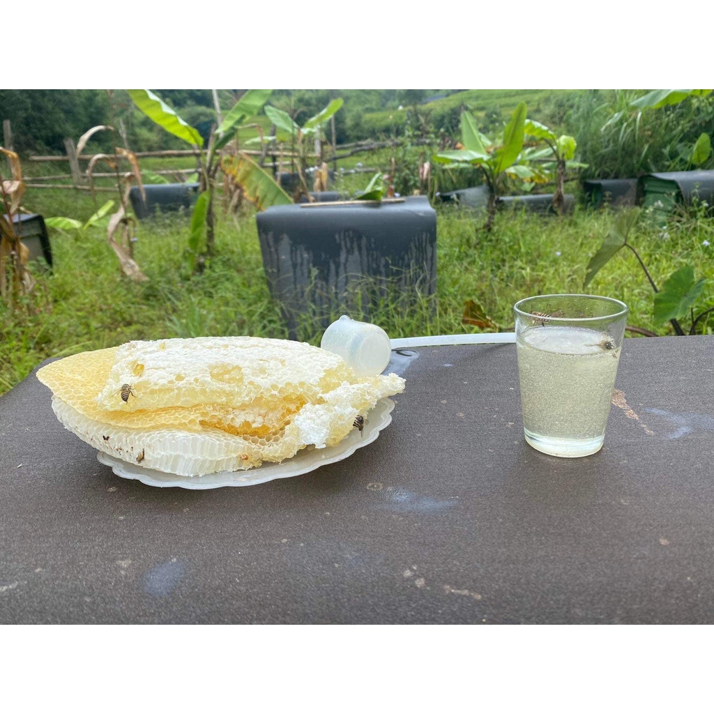 MẬT ONG TRẮNG MÙ CANG CHẢI YÊN BÁI NGUYÊN CHẤT 100%