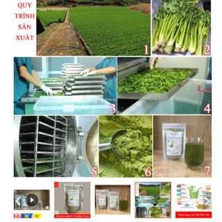 500GR Bột Cần Tây Sấy Lạnh
