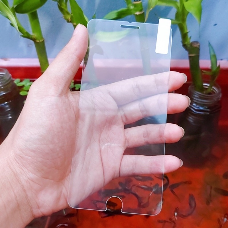 Cường lực i.p.hone trong suốt không full chống mẻ viền
