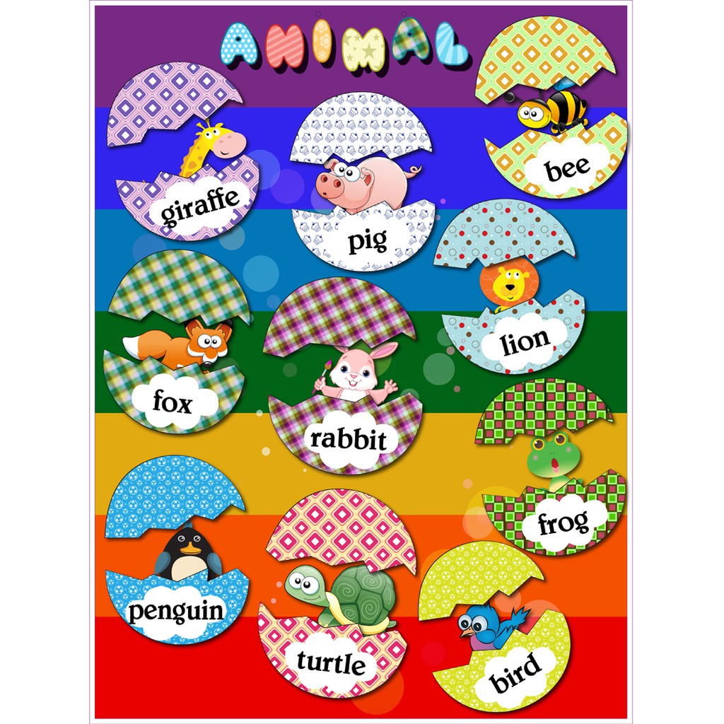 Set 6 tấm trang trí lớp Tiếng Anh A3