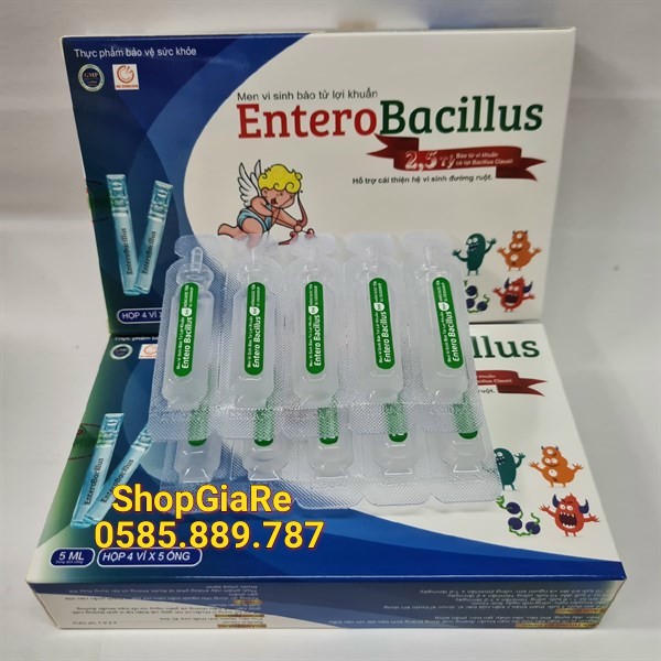 Men tiêu hoá Entero Bacillus cân bằng vi khuẩn đường ruột, giúp tiêu hóa tốt, tăng sức đề kháng và miễn dịch