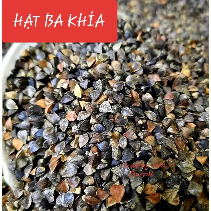 500g/1000g hạt ba khía (hạt tam giác mạch) cho chim, vẹt, chuột, hamster, gà đá...