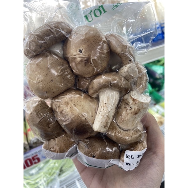 Nấm đông cô