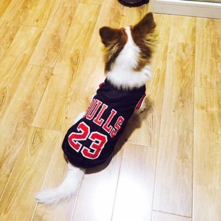 Áo thun lưới logo Bulls 23💪🏻