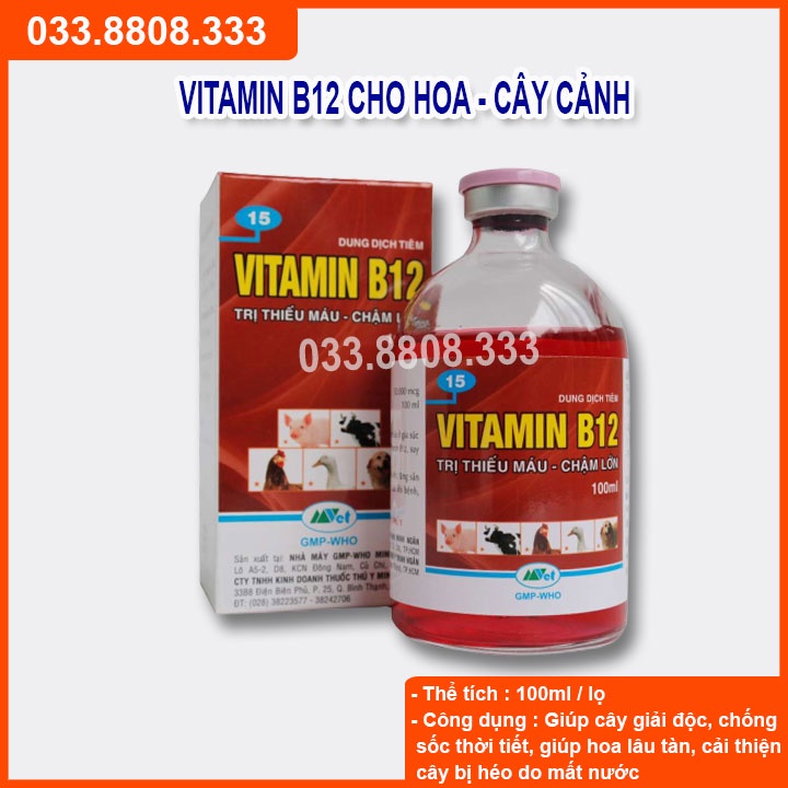 Vitamin B12 cho lan, cây cảnh 100ml Giải độc cây,Tái tạo tế bào mới, giúp hoa lâu tàn, chống héo do mất nước