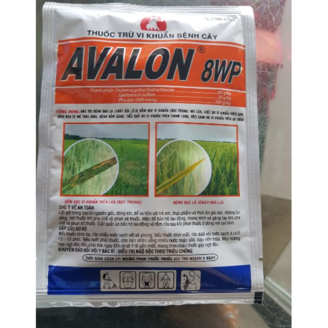 Thuốc đặc trị nấm bệnh do vi khuẩn trên cây trồng AVALON 8WP gói 25 gram