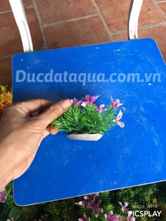 Cây hoa cỏ nhựa cao cấp