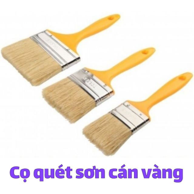 CỌ QUÉT SƠN CÁN VÀNG