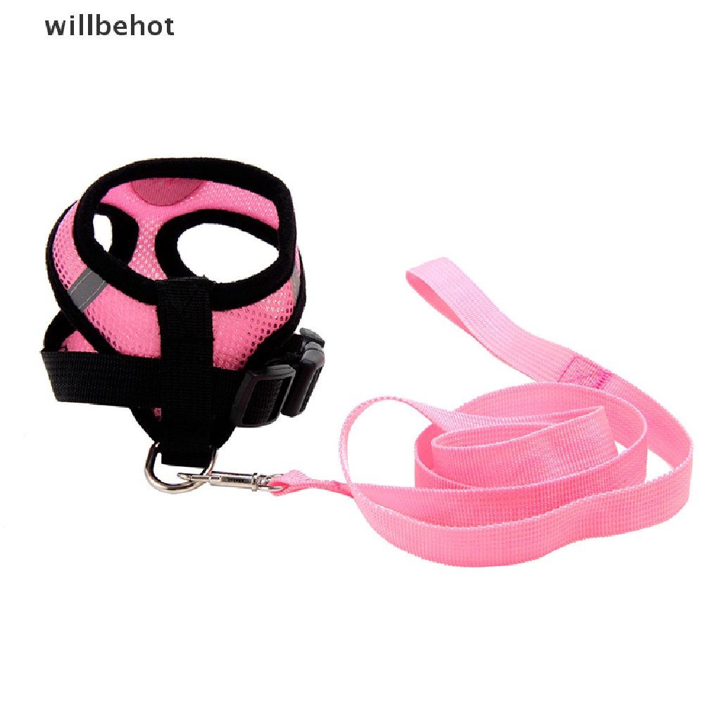 Dây Đai Dắt Thú Cưng Đi Dạo + Áo Lưới Dắt Phản Quang Tùy Chỉnh Chất Lượng Cao