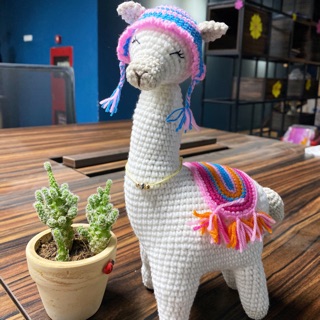 Lạc đà alpaca làm bằng len milk