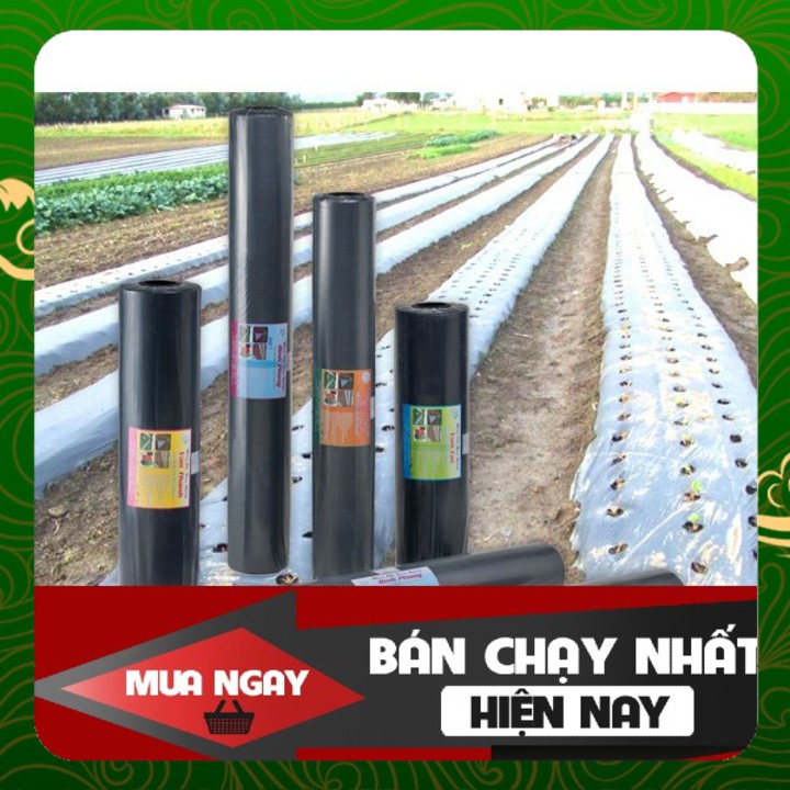 Màng phủ nông nghiệp 0,8met x 400met x 25mic Màng chít màng quấn bọc hàng hóa