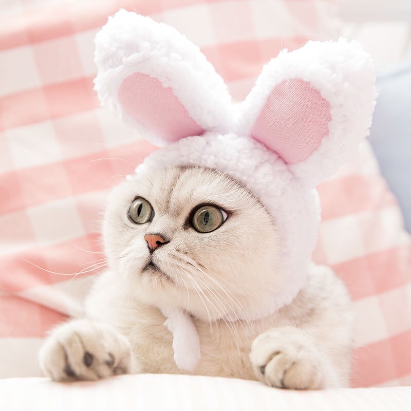 Mũ cho Chó Mèo tai thỏ trắng đáng yêu - Nón cho thú cưng