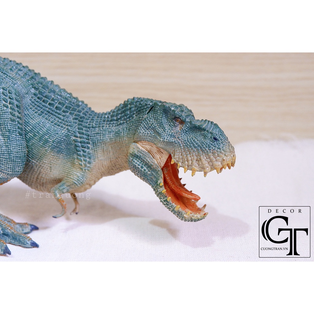 Mô hình Khủng Long T-rex - Dành cho trẻ 3 tuổi trở lên