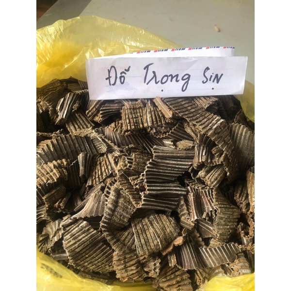 500g Đỗ trọng bổ thận