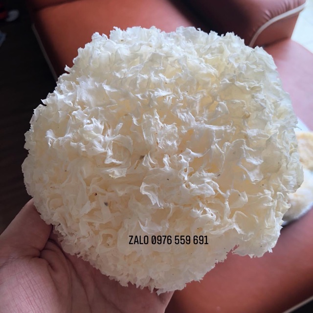 Nấm tuyết sấy khô siêu ngon