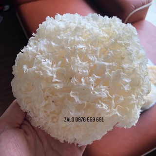 Nấm tuyết sấy khô siêu ngon