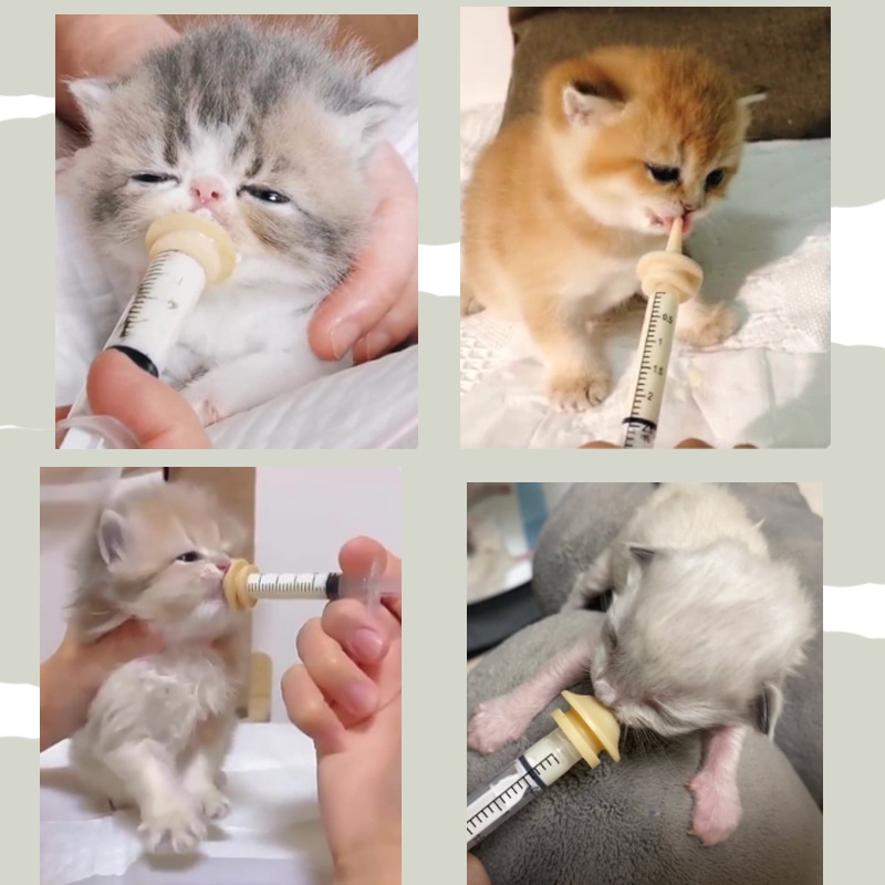 Bơm ti sữa cho mèo, chó sơ sinh, núm vú silicone cho thú cưng uống sữa