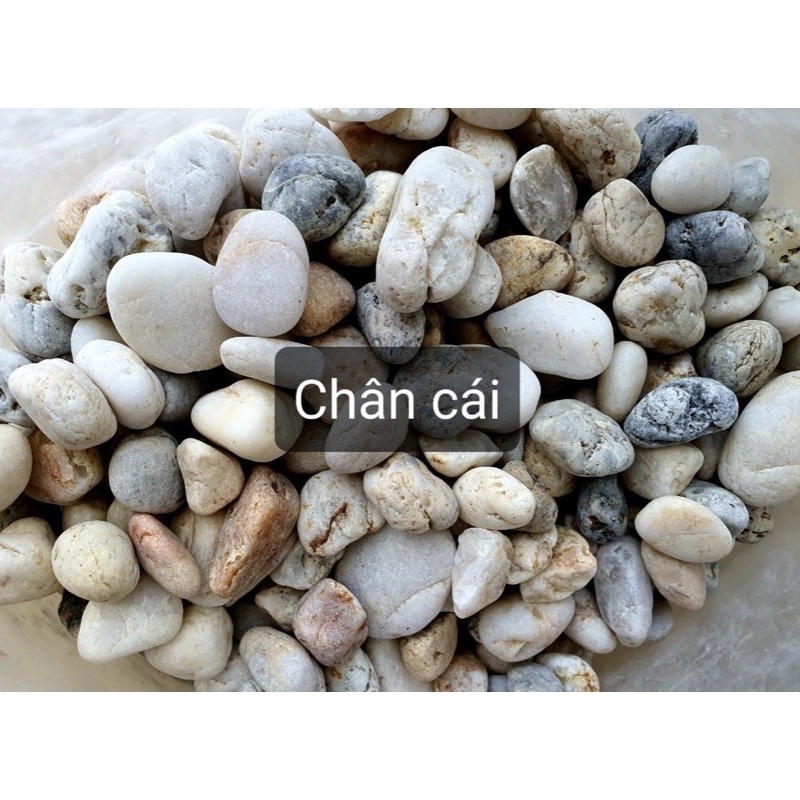 Sỏi suối 3 màu trang trí hồ cá, chậu cây cảnh – 1kg