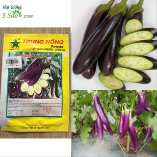 Hạt Giống Cà Tím F1 Số 7 -5gr ( Trung Nông )
