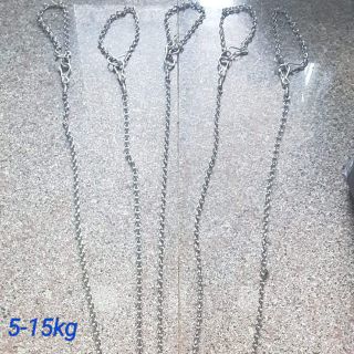 Dây Xích inox,dây dắt kèm vòng cổ cho Chó Mèo