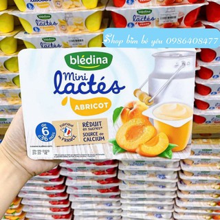 Sữa chua BLEDINA đủ vị