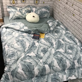 Bộ Gra Trải Giường (Hình Thật) Chần Bông Cung Hoàng Đạo Cotton M2*2M-M4*2M- M6*2M-M8*2M