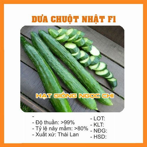 Hạt Giống Dưa Chuột Nhật F1 - 10 Hạt