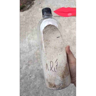 Chai Pet 1000ml