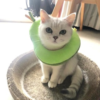 GỐI CHỐNG LIẾM HÌNH QUẢ BƠ CHO CHÓ MÈO