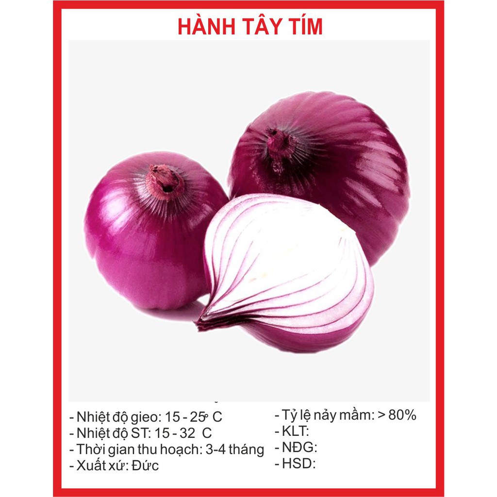 Hạt Giống Hành Tây Tím - Giàu Dinh Dưỡng, Năng Suất Cao - MUA 3 TẶNG 1 CÙNG LOẠI