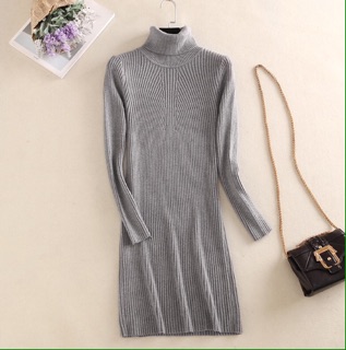 Váy Len Body Cao Cấp Dáng Vừa